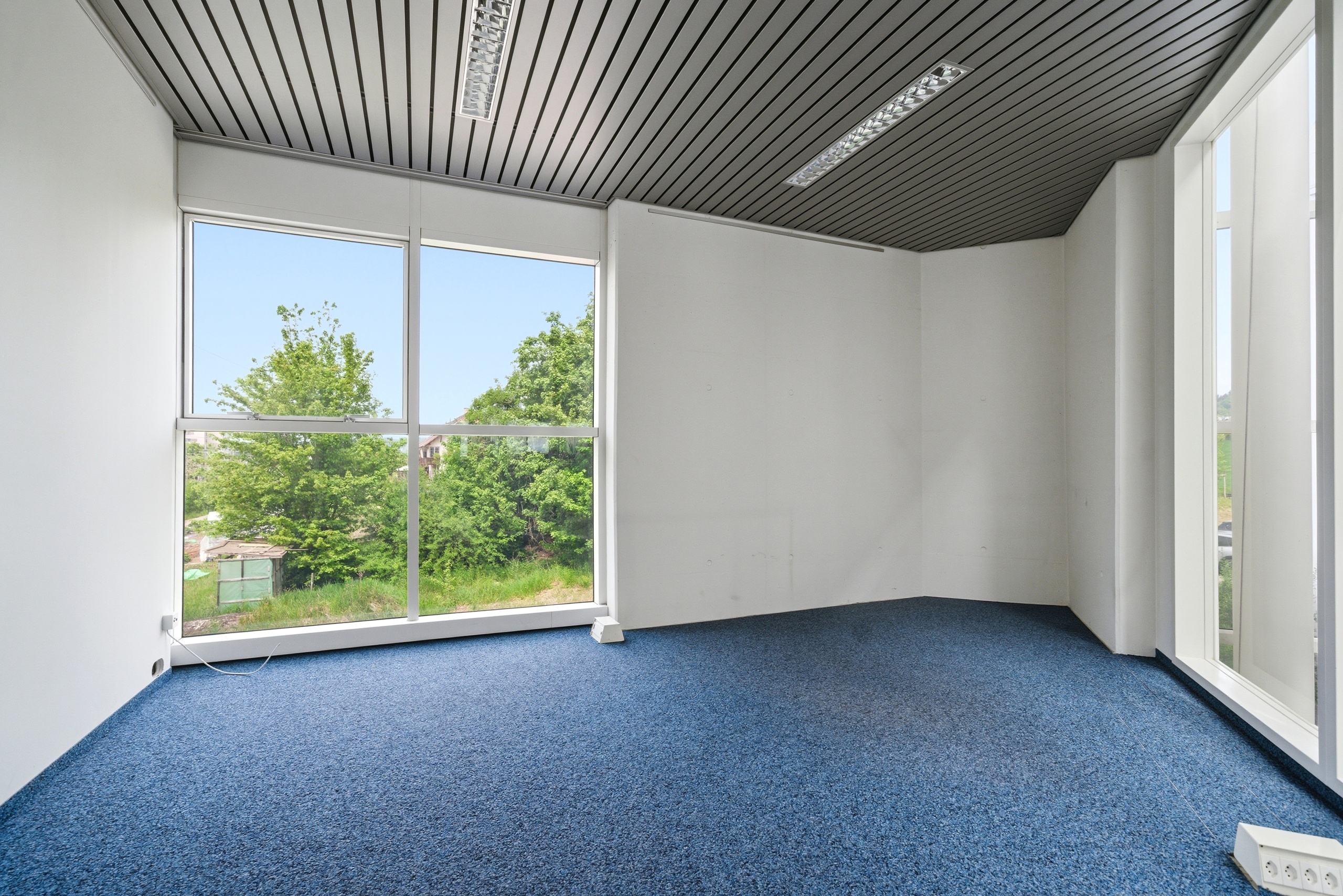 Interior view 11