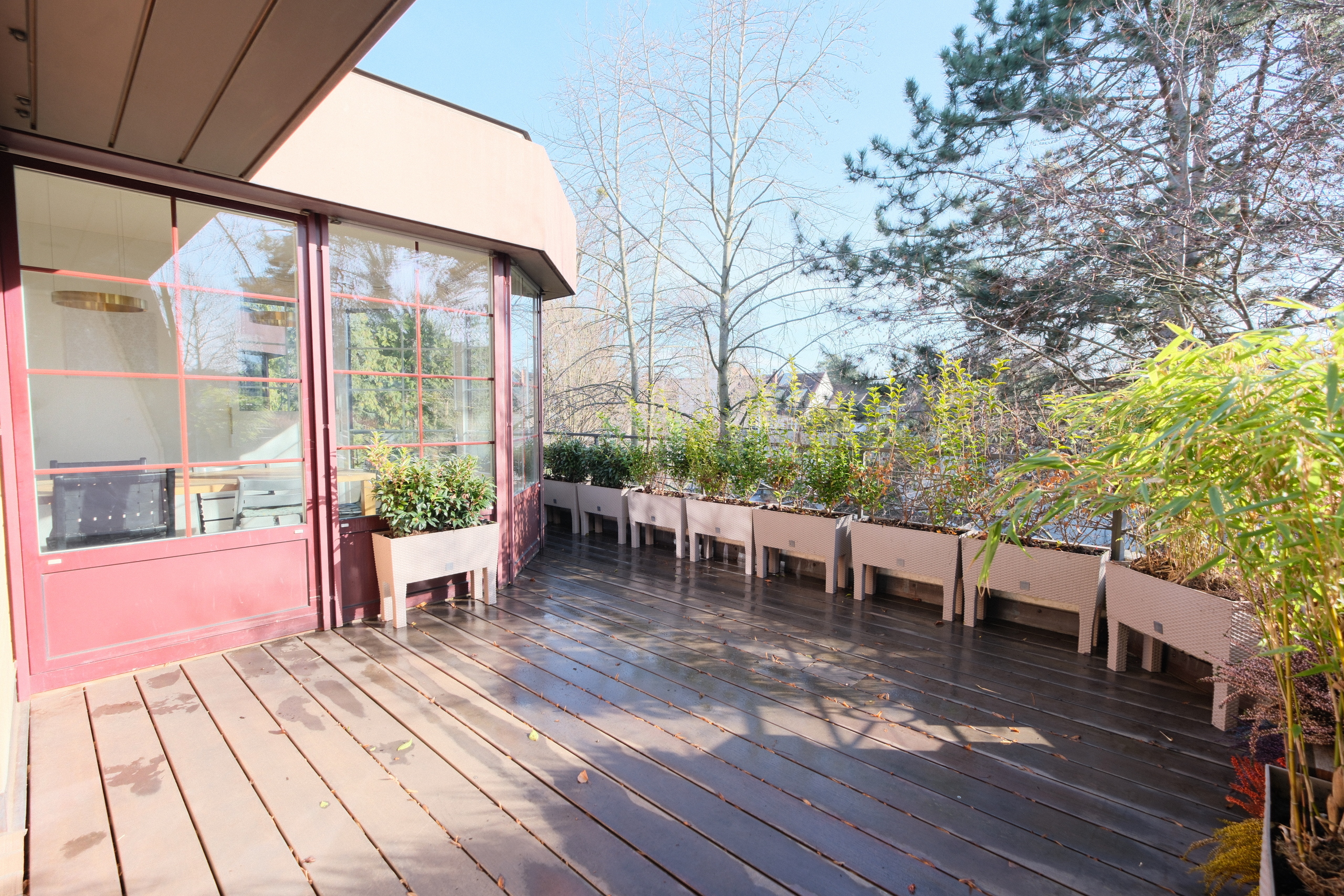 Terrasse zum Hinterhof _ Südseite