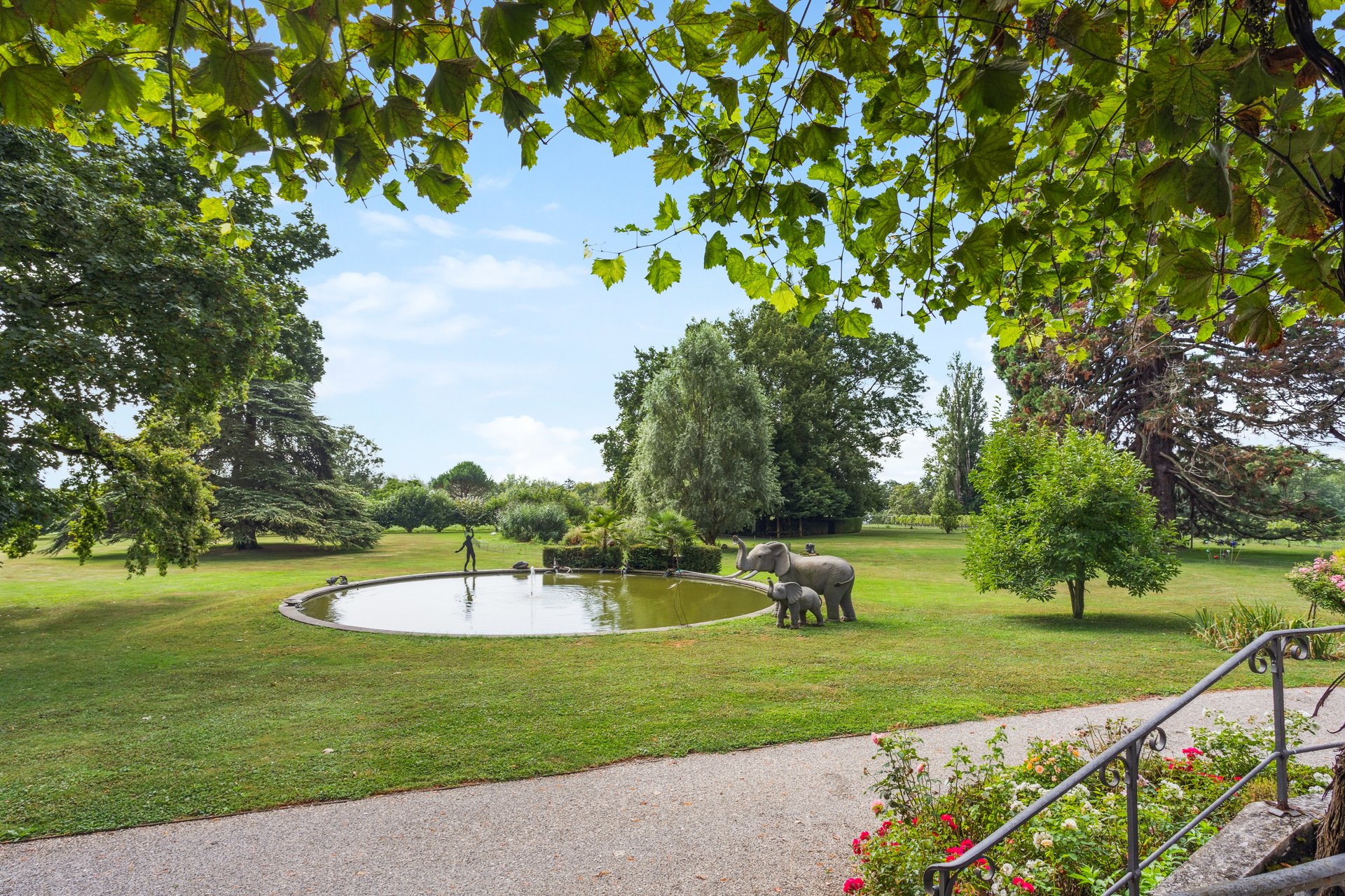 Large garden with pond Large garden with pond