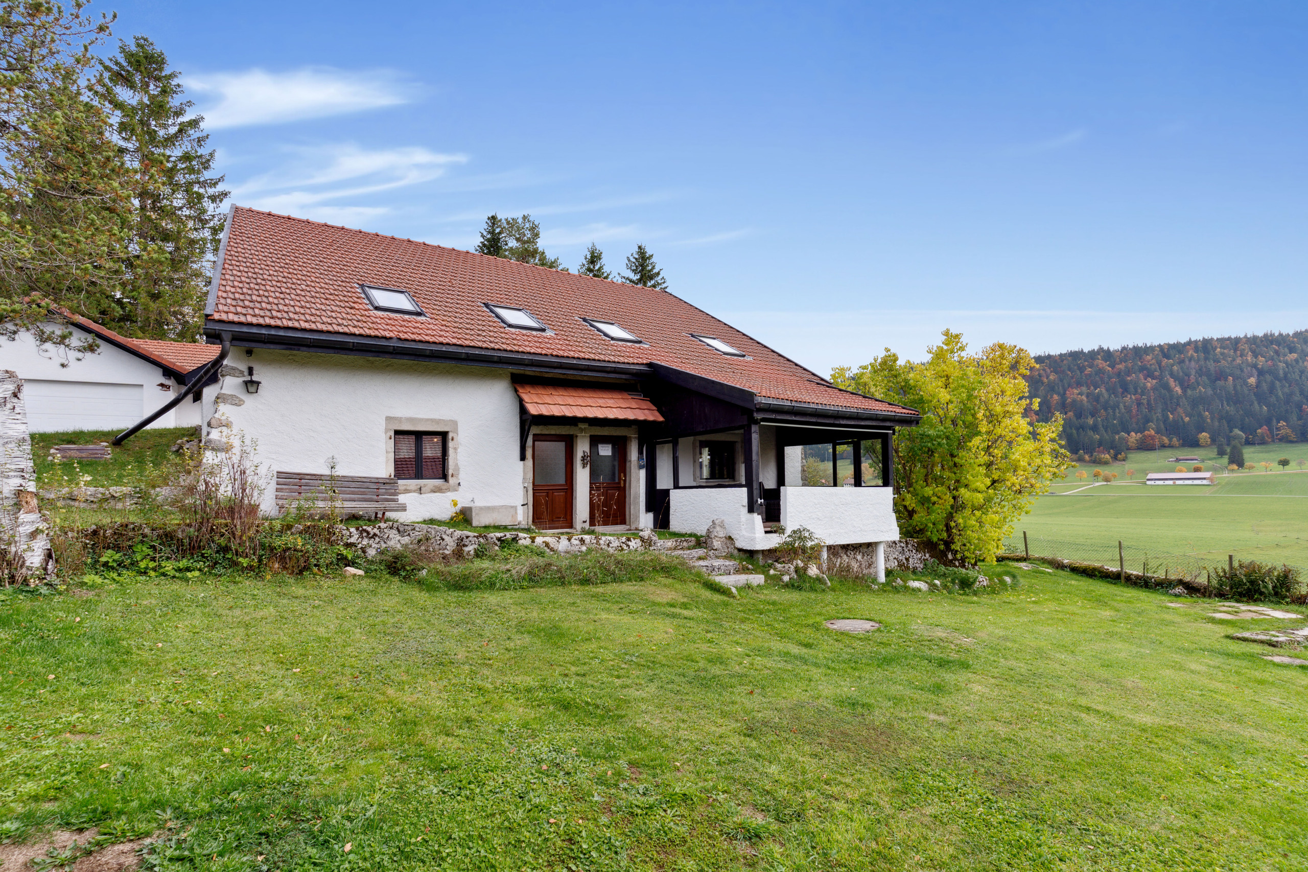 Grand jardin arboré