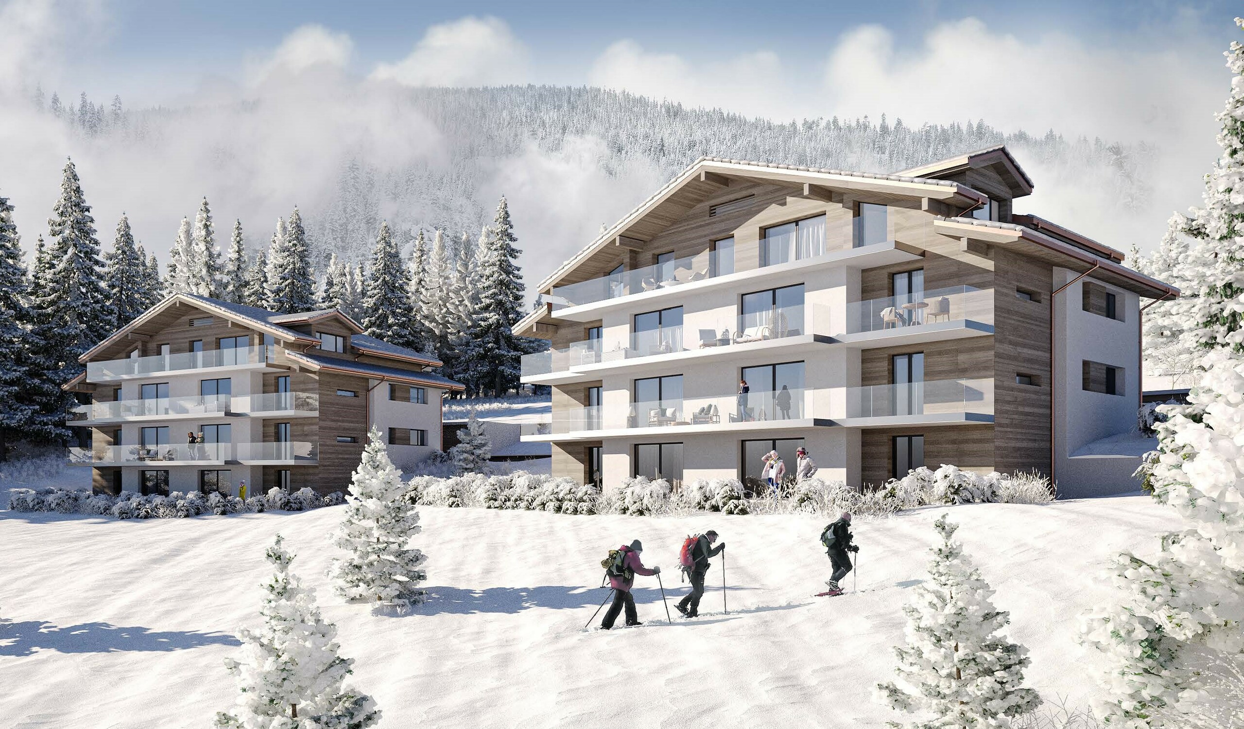 Promotion Master Alpin A et B du 2.5 au 3.5 pièces 
