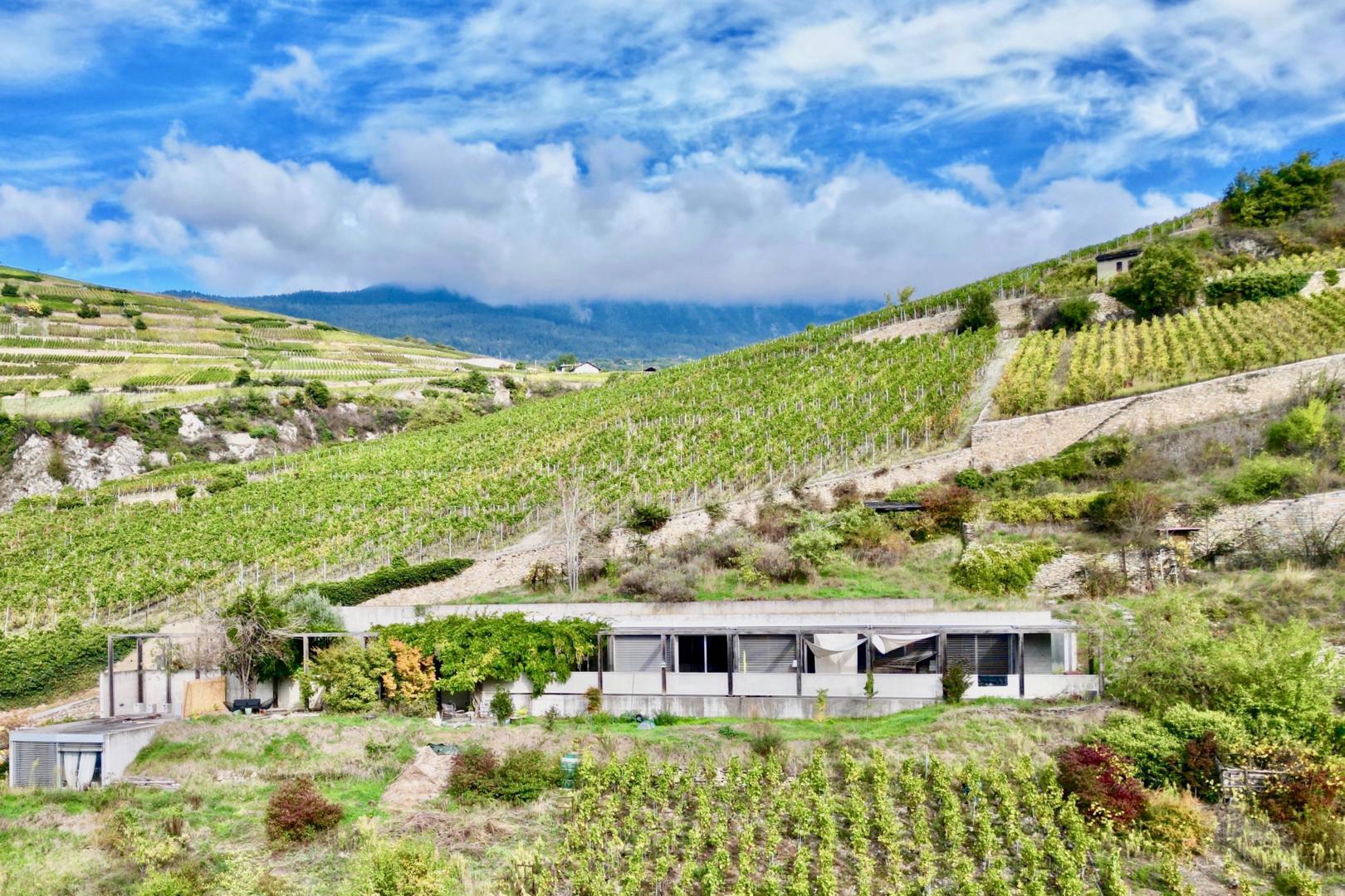 Premier coup d'oeil 1