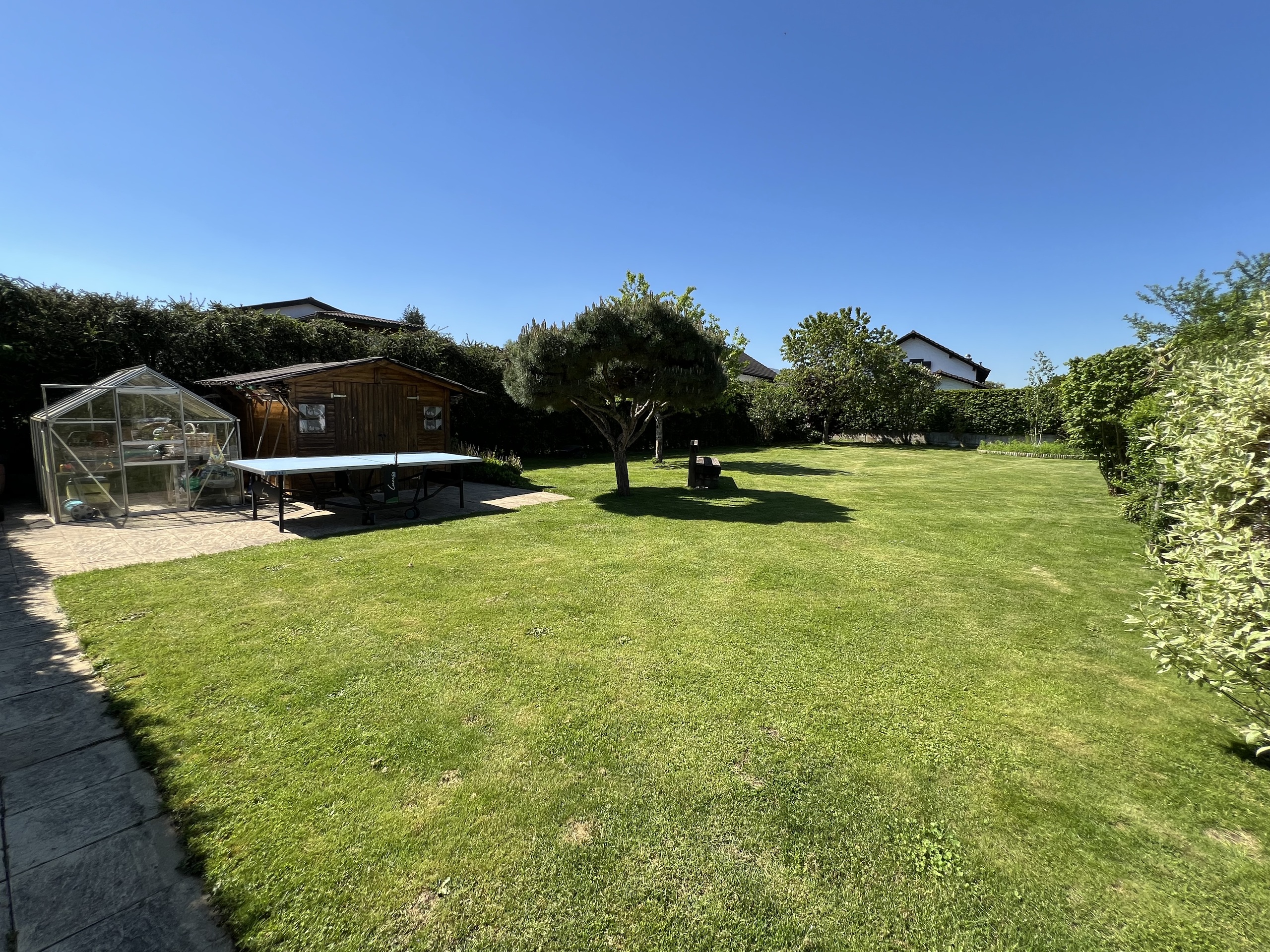 Garden with fruit trees Garden with fruit trees