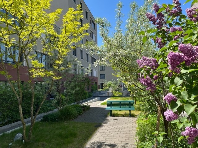 Foto 2