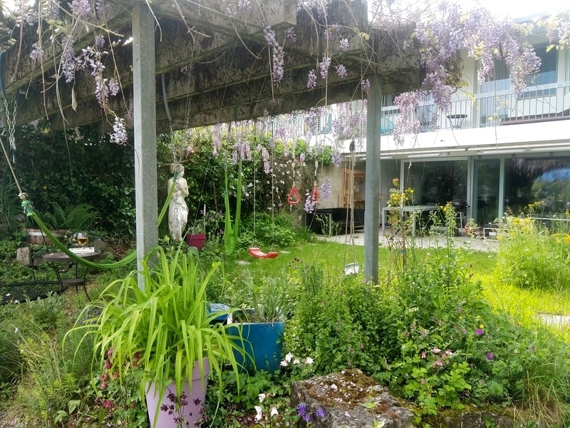 Foto 10
