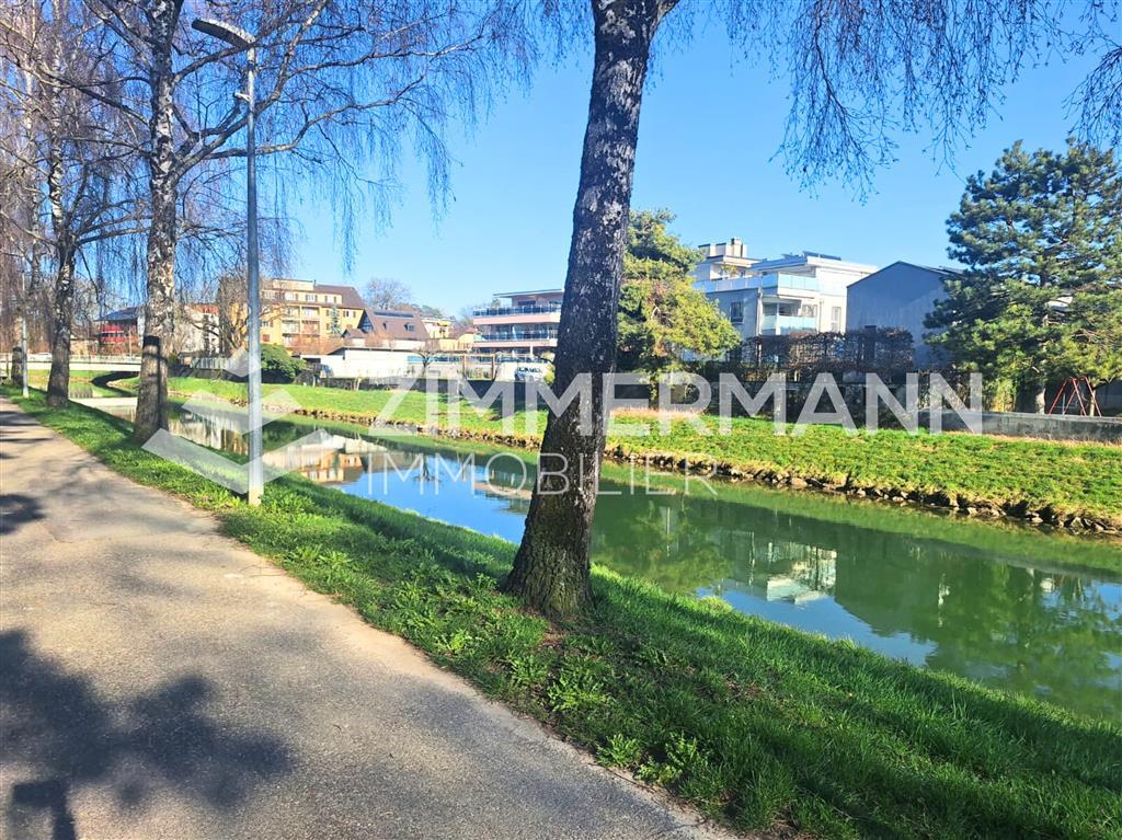 Immagine di copertina 2