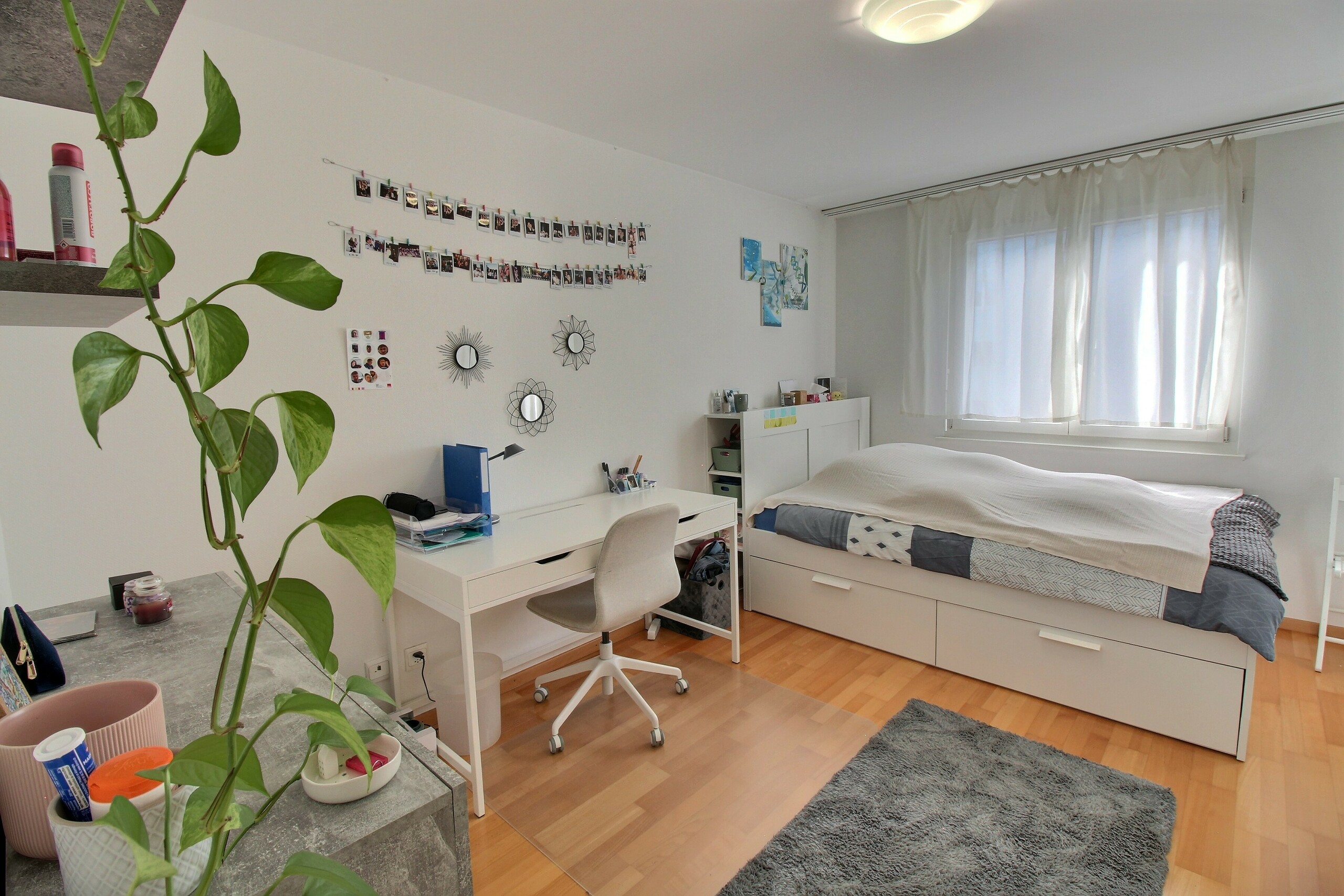 Photo 6