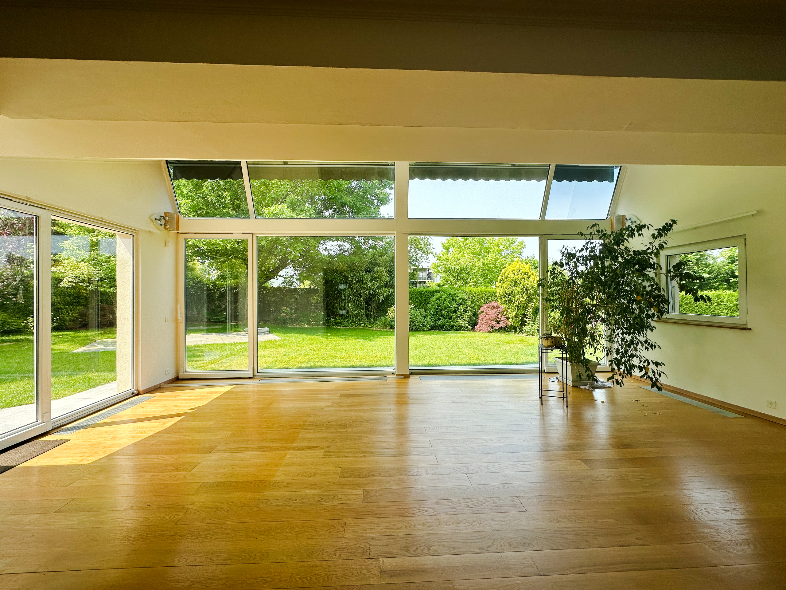 Interior view 1