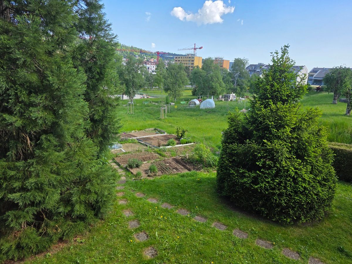 Foto 10