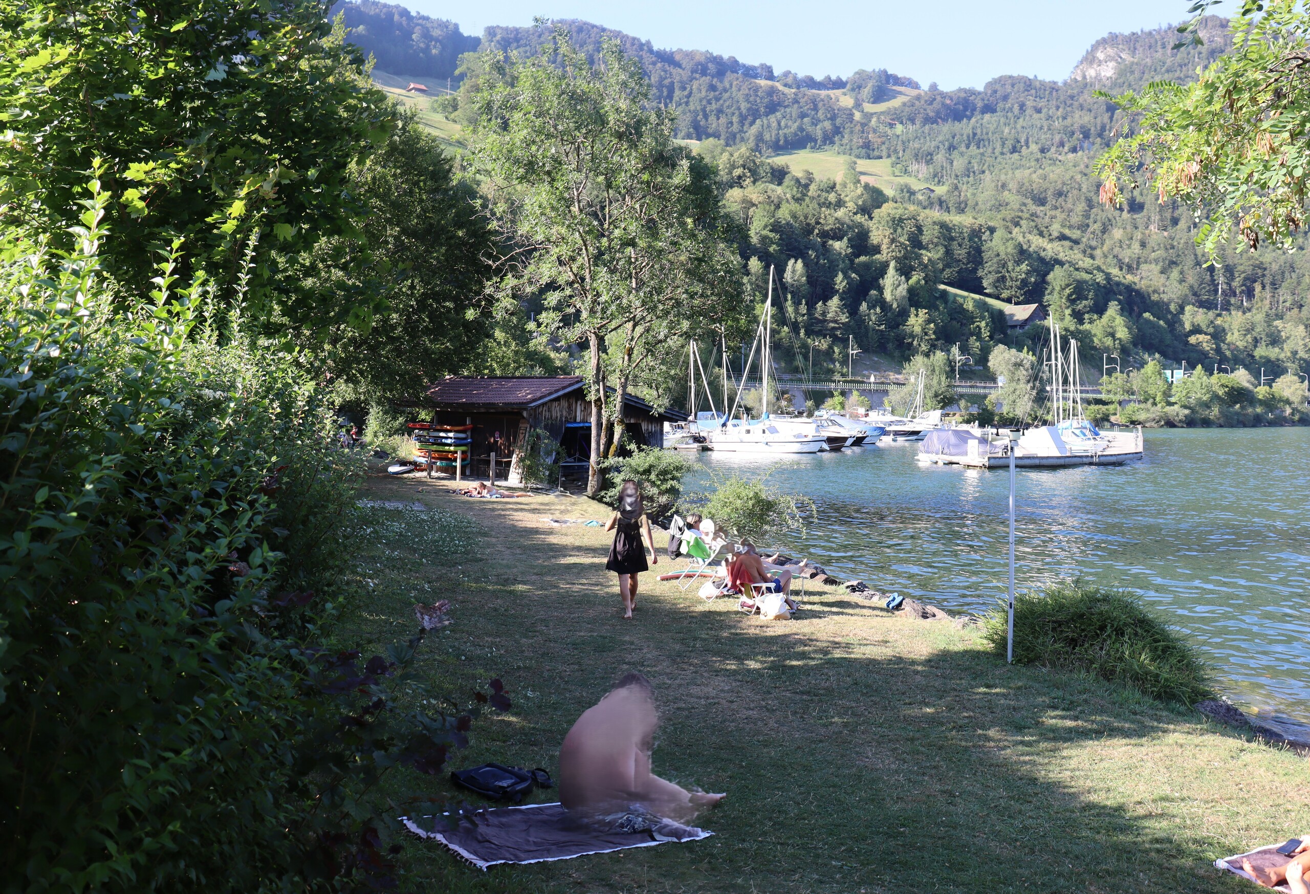 Photo 11