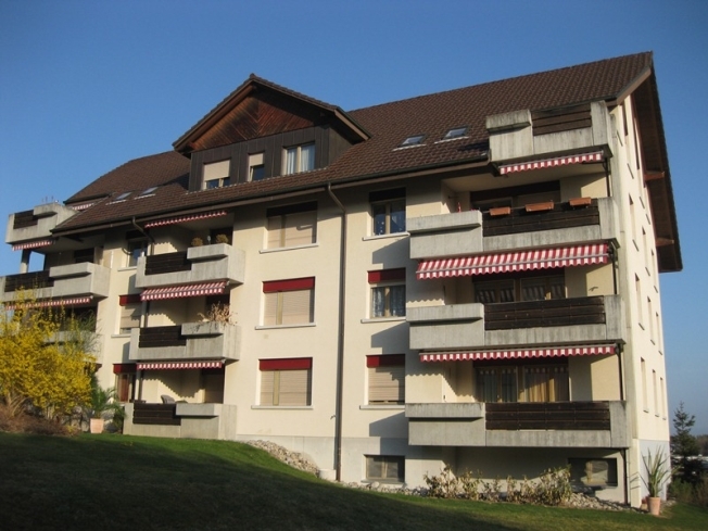 Immagine di copertina