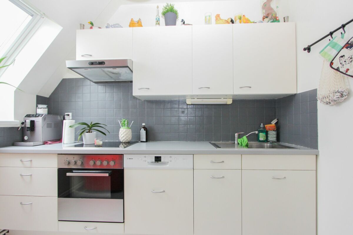 Picture 7