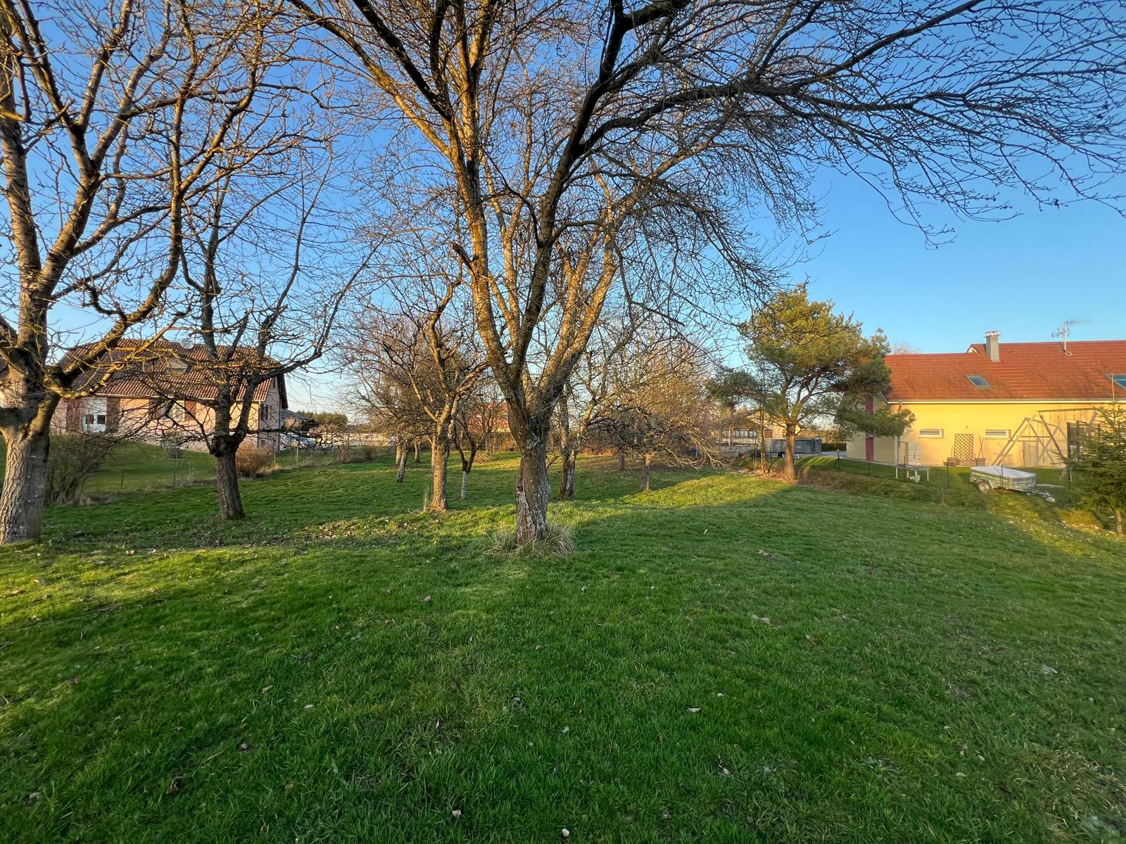 Picture 48