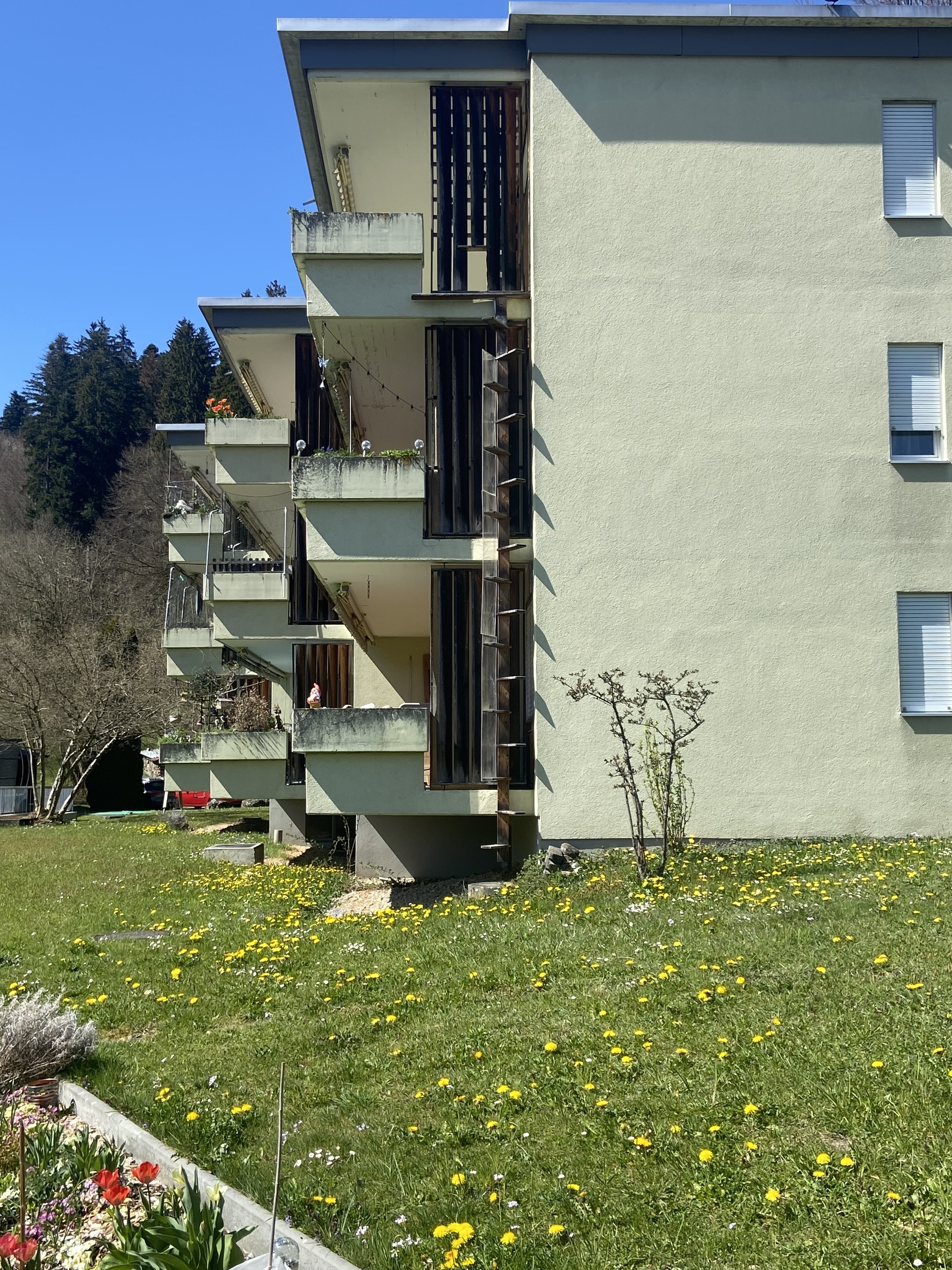 Katzenleiter vom EG ins 2. OG