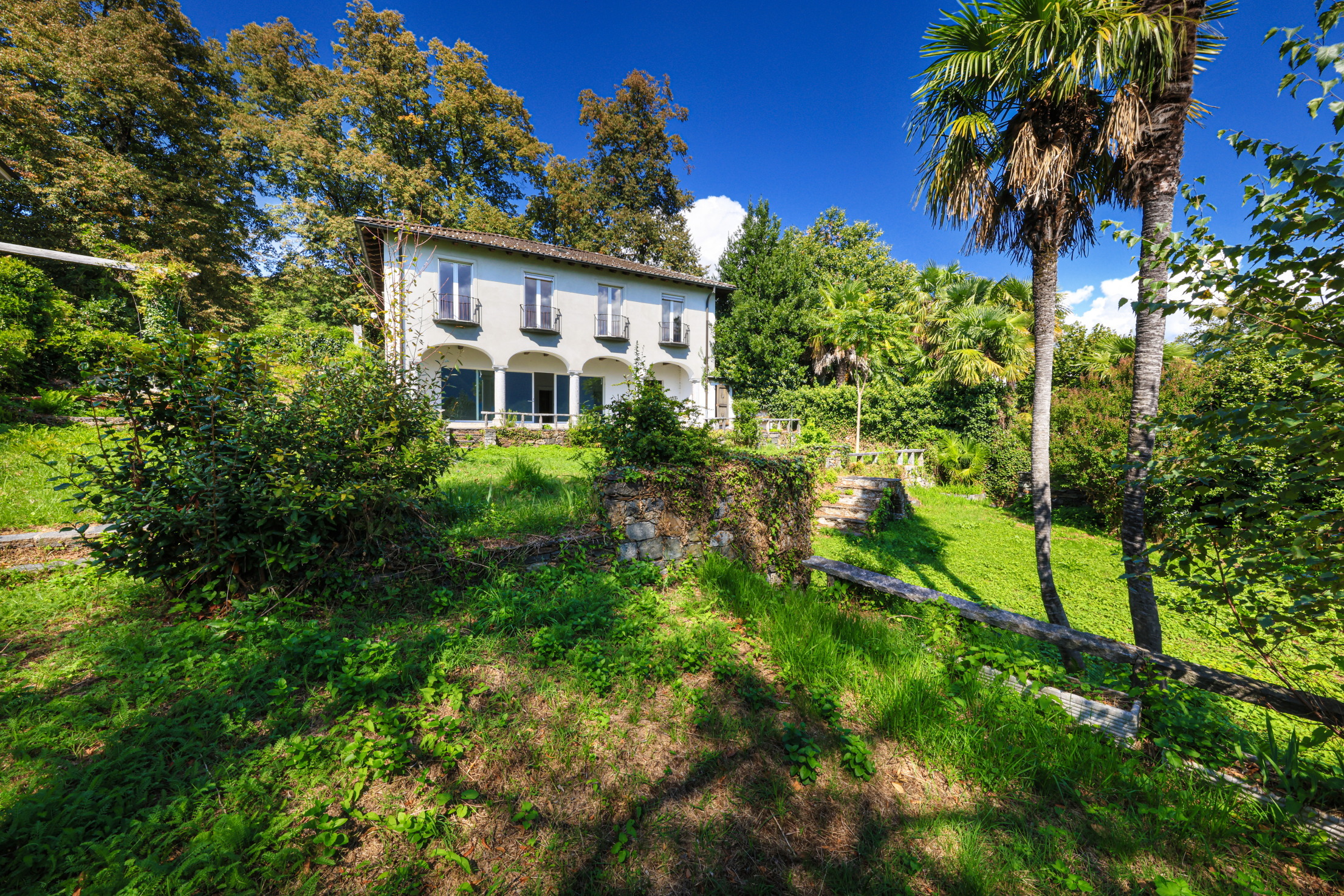 Immagine di copertina