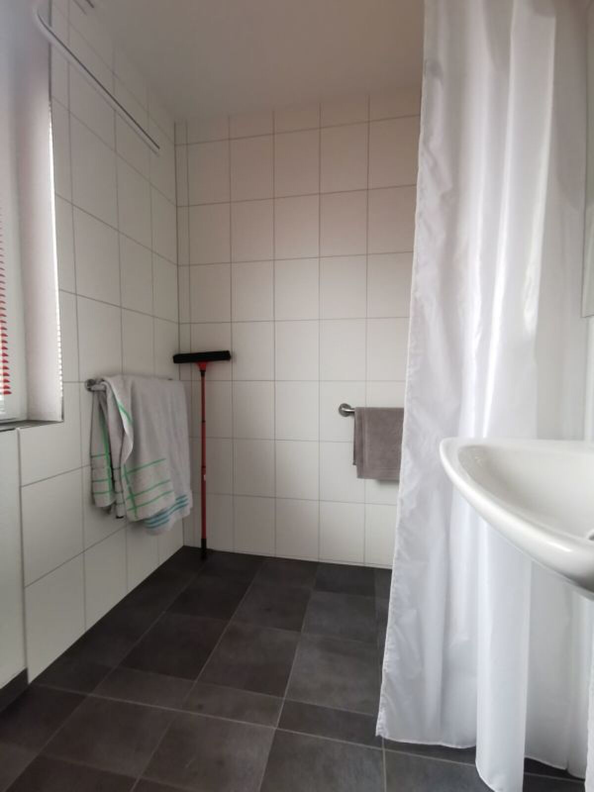 Picture 13