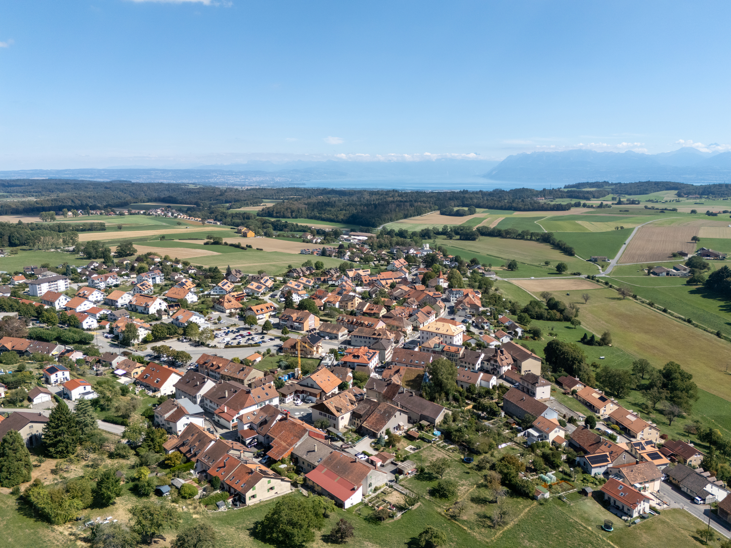 dji_20260911142529_0307_d dji_20260911142529_0307_d