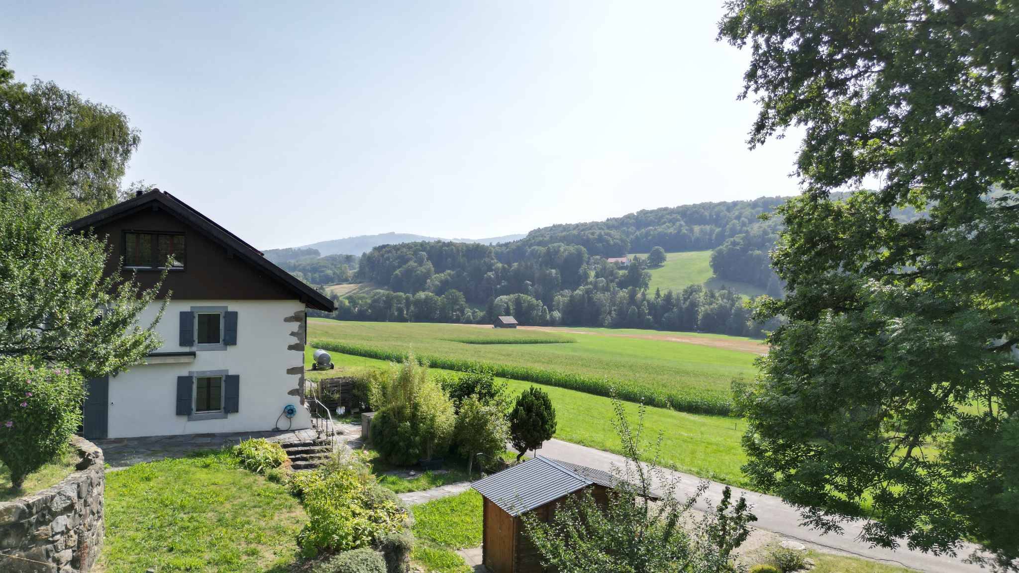 Premier coup d'oeil 3