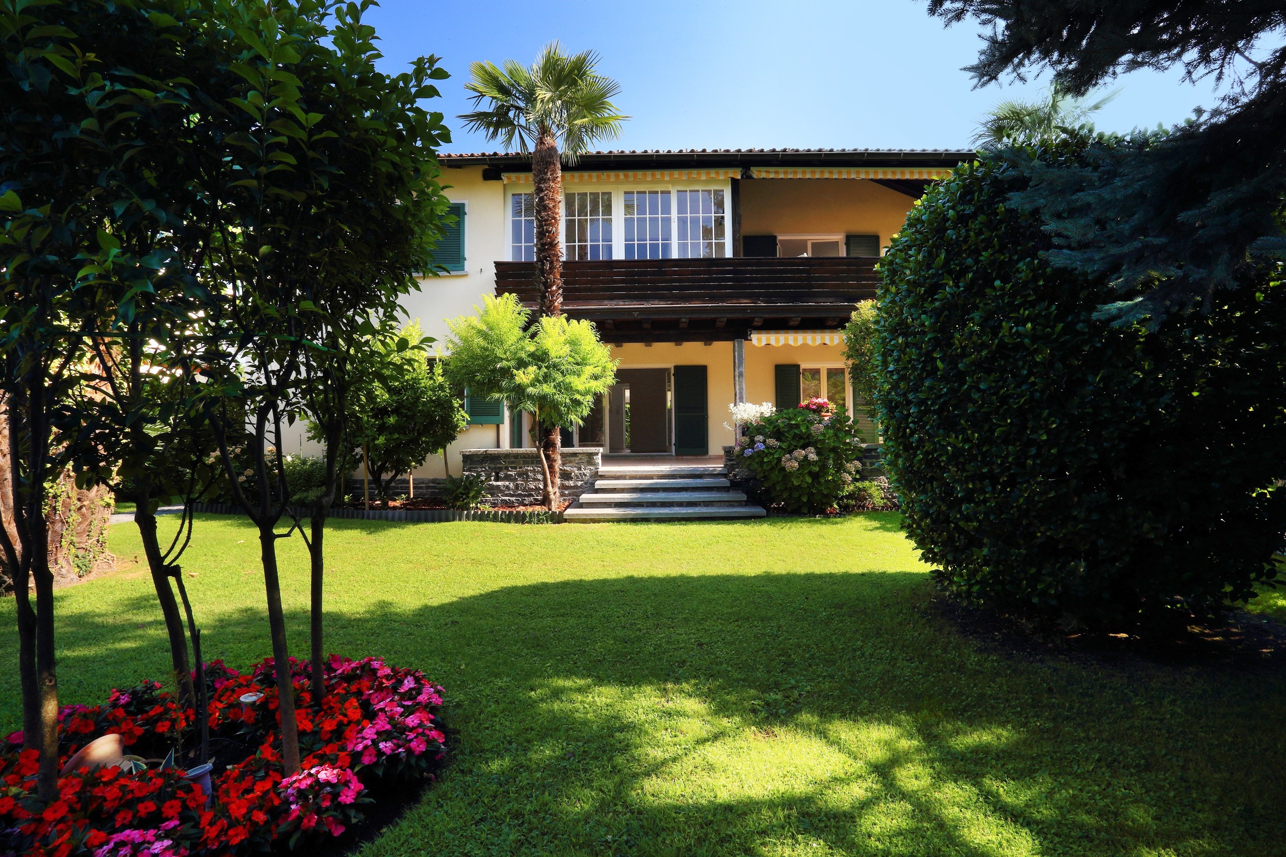 Immagine di copertina