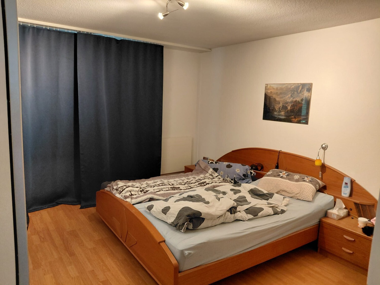 Photo 5