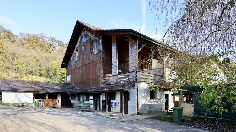 Foto 12