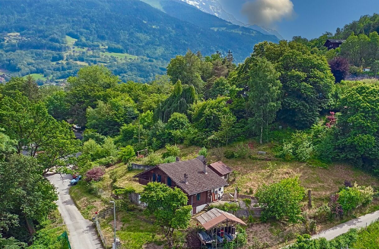 Vue parcelle, chalet à démolir Vue parcelle, chalet à démolir