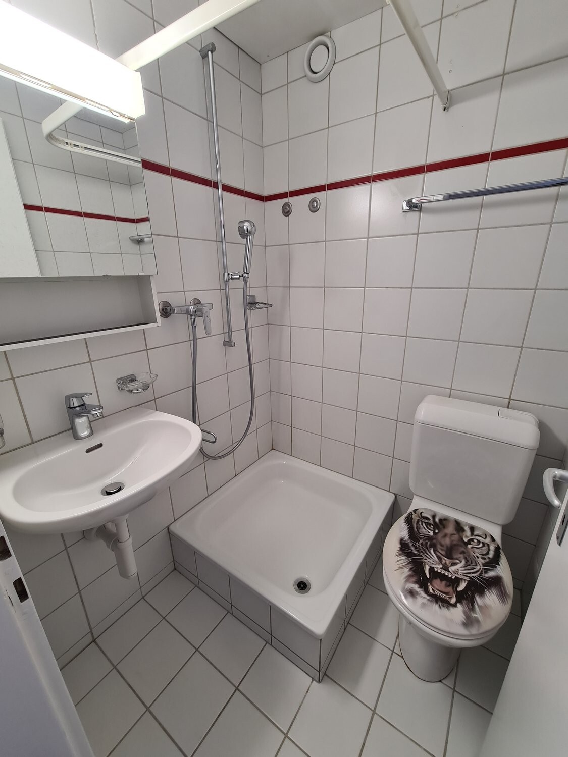 Picture 6