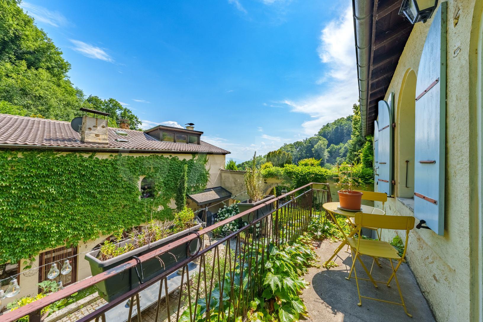 Immagine di copertina 3