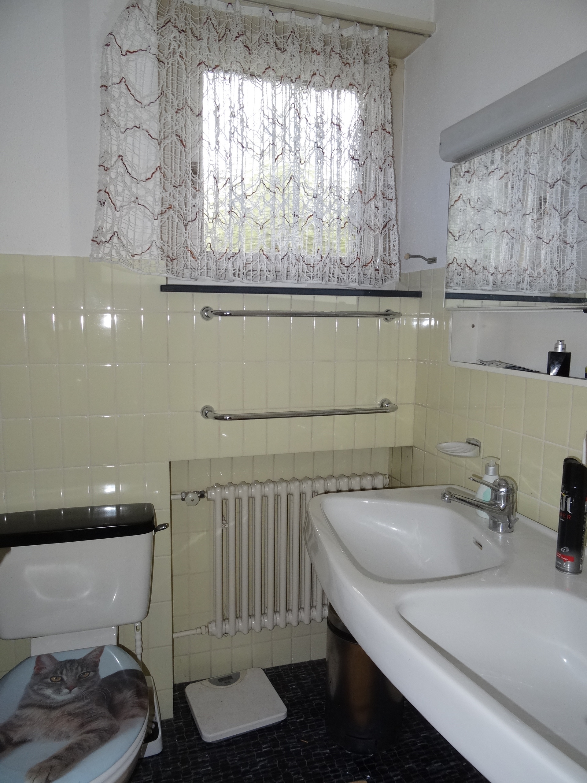 aktueller Innenausbau