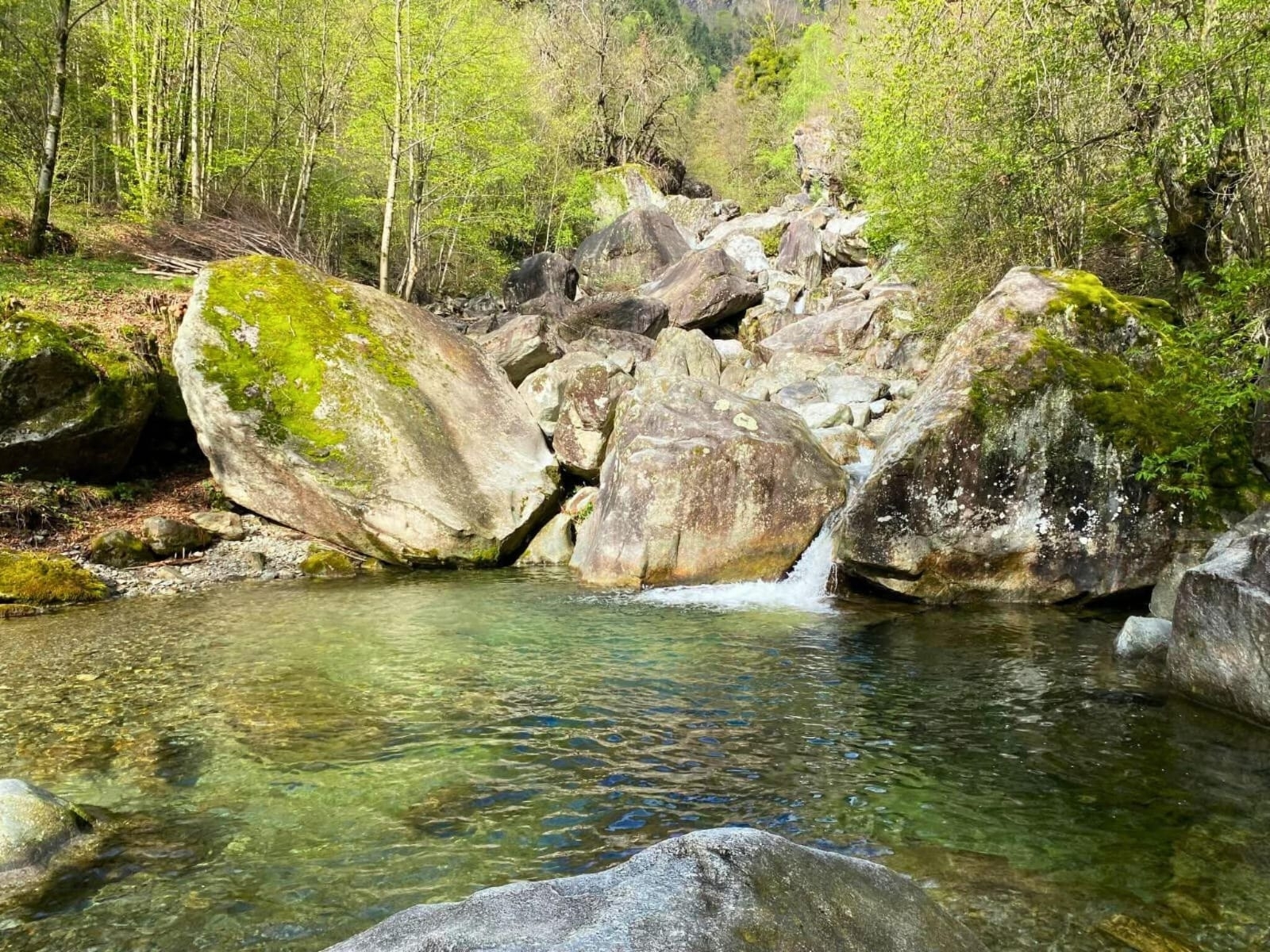 Picture 4