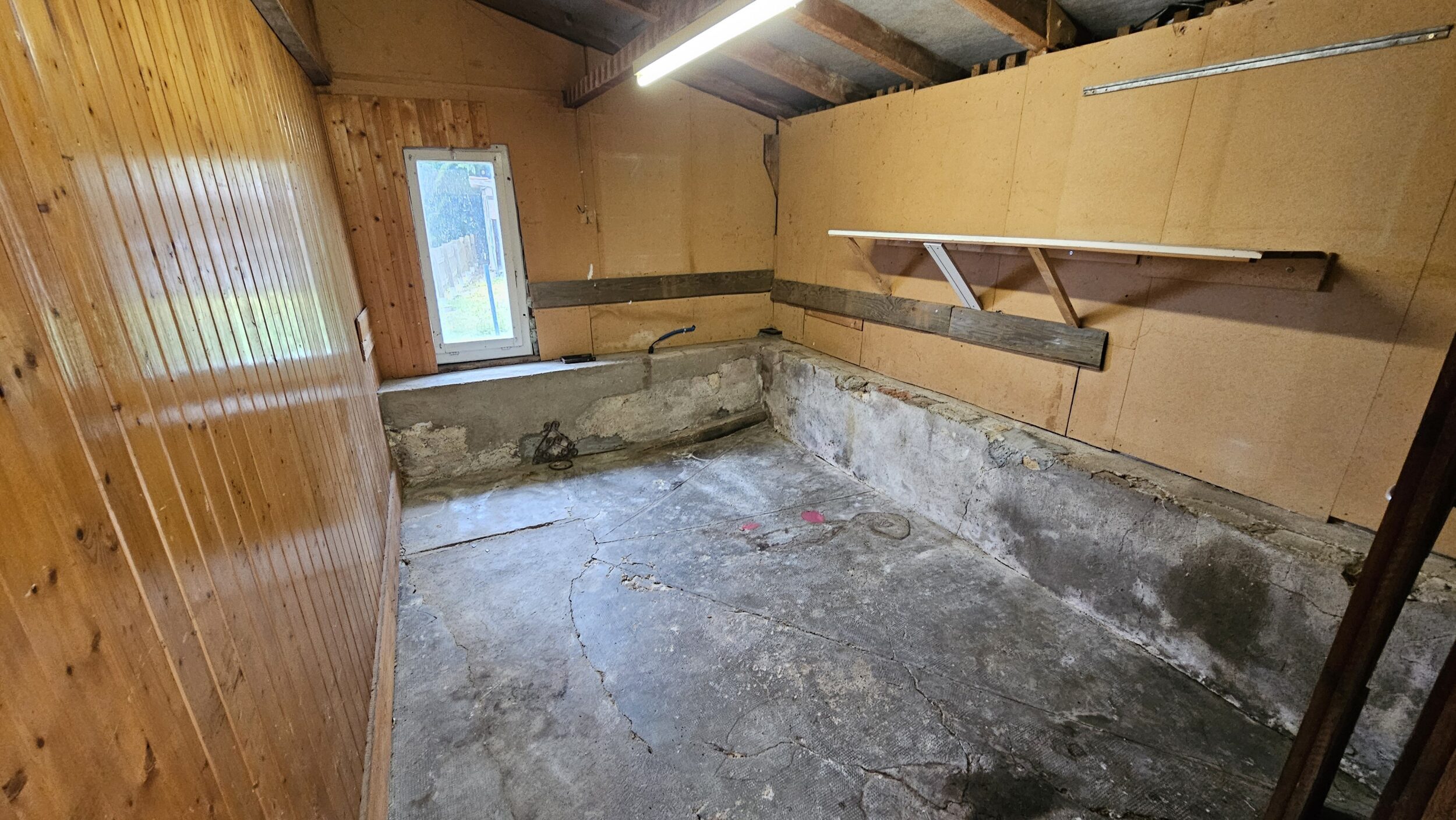 Picture 12