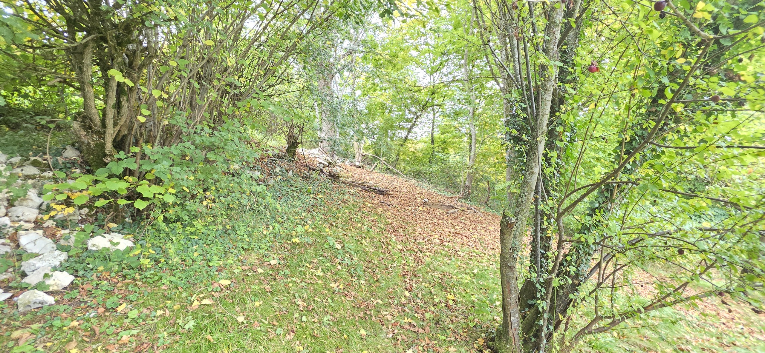 Photo 17