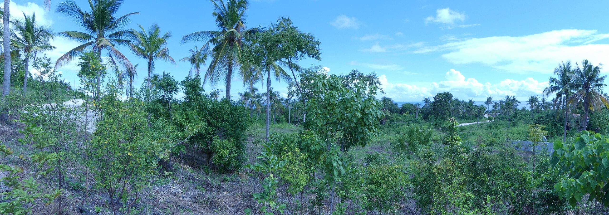 Foto 6