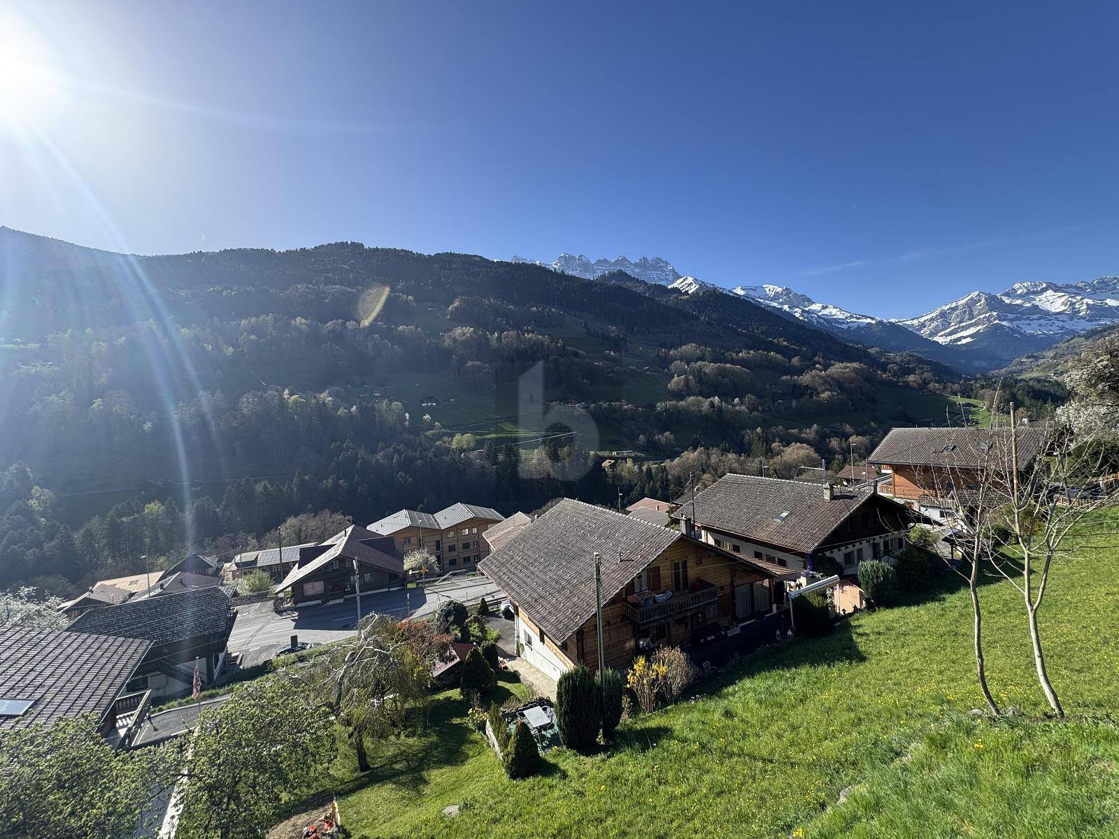 Foto 2