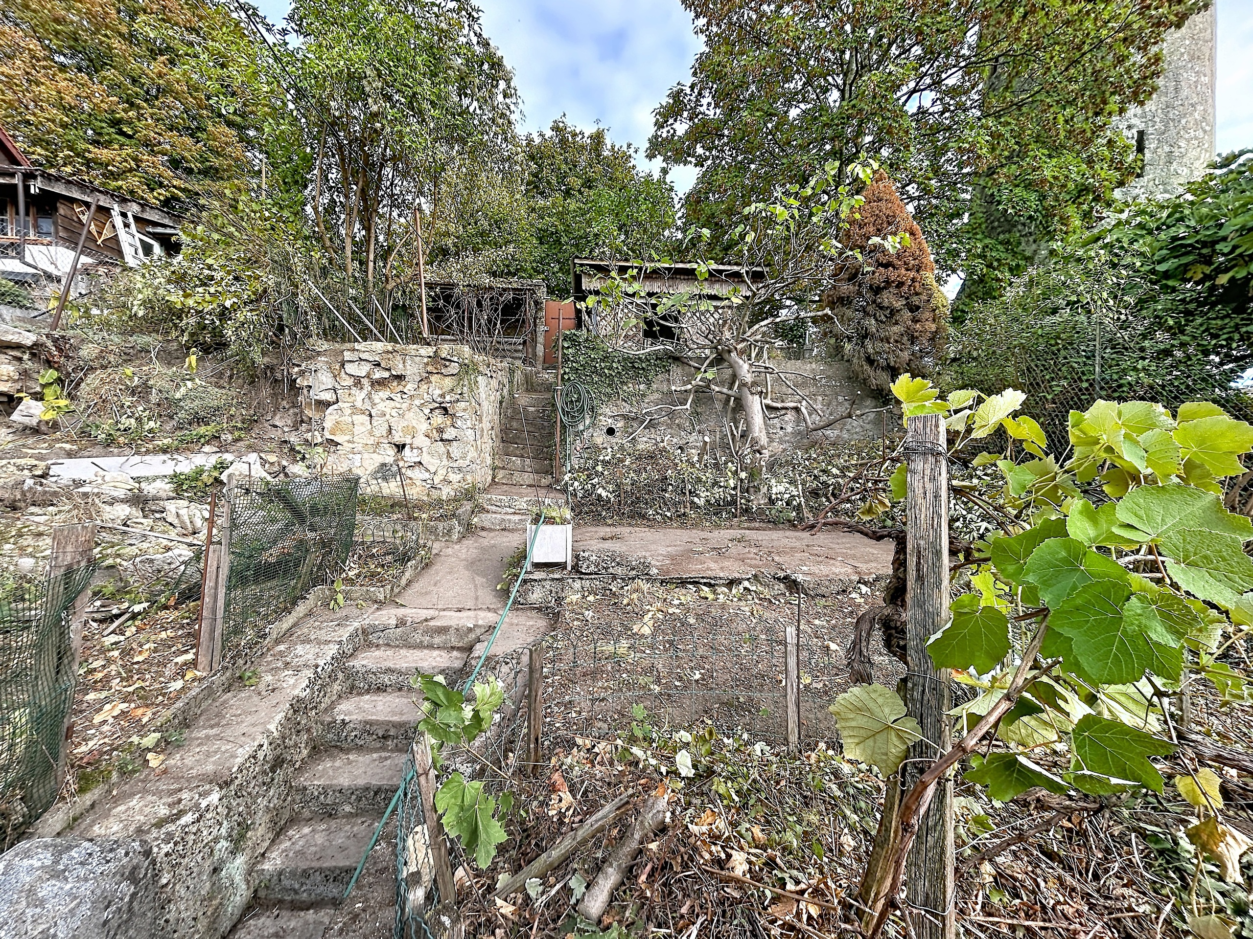 Aussenansicht 8