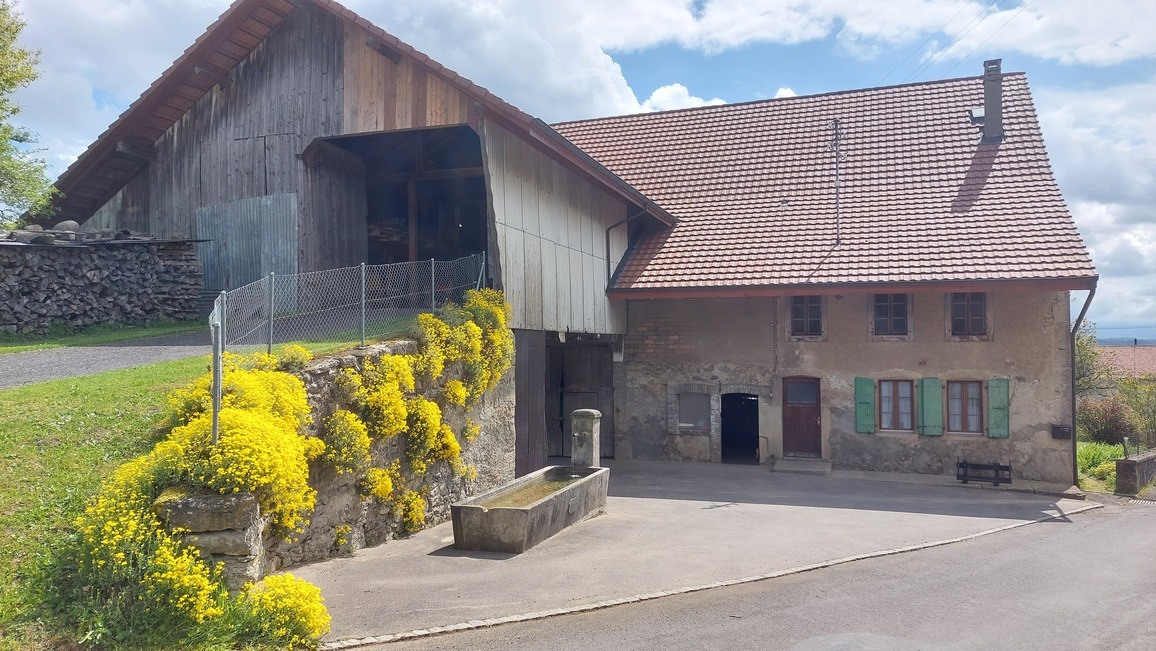 ferme et rural ferme et rural