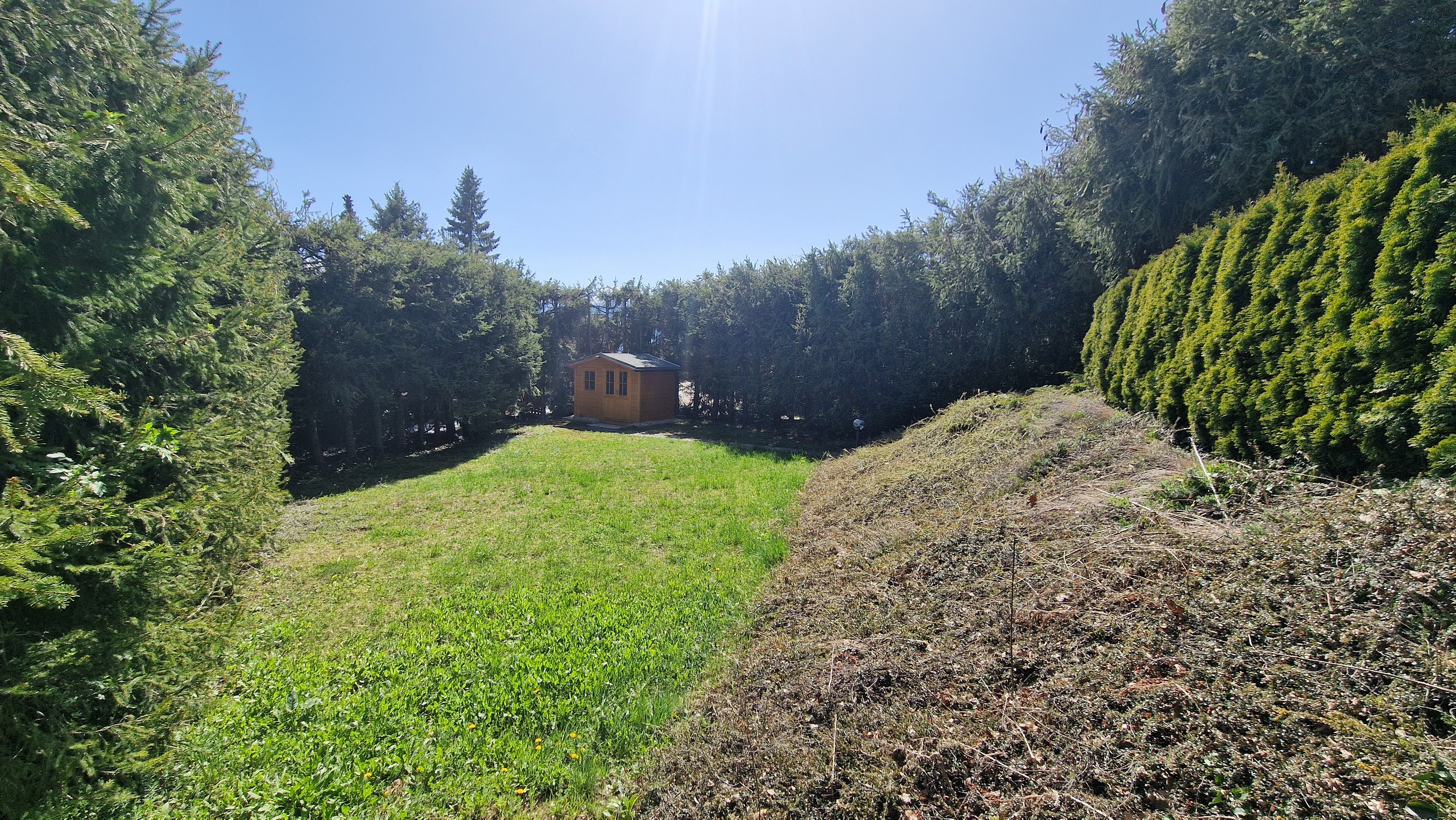 Photo 22