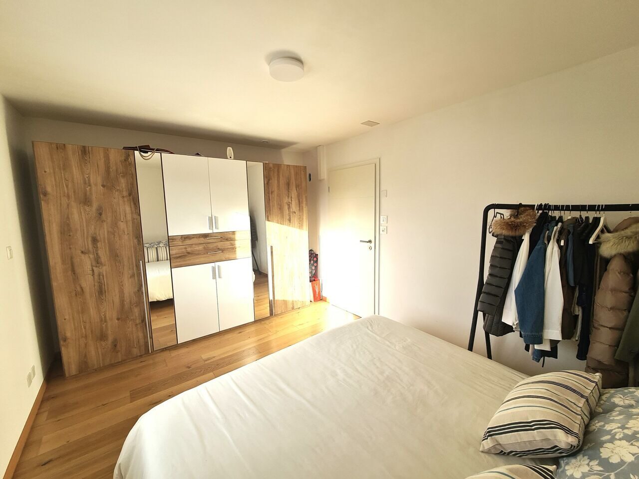 Picture 11