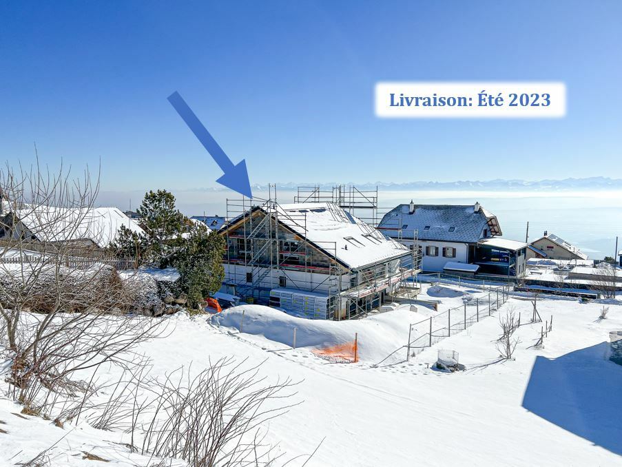 Vue arrière de la maison et vue sur les Alpes