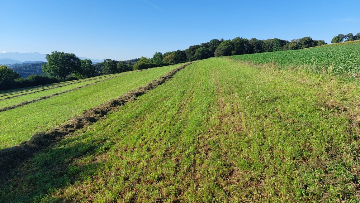 parcelle 104 parcelle 104