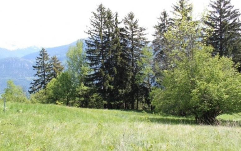 Picture 4