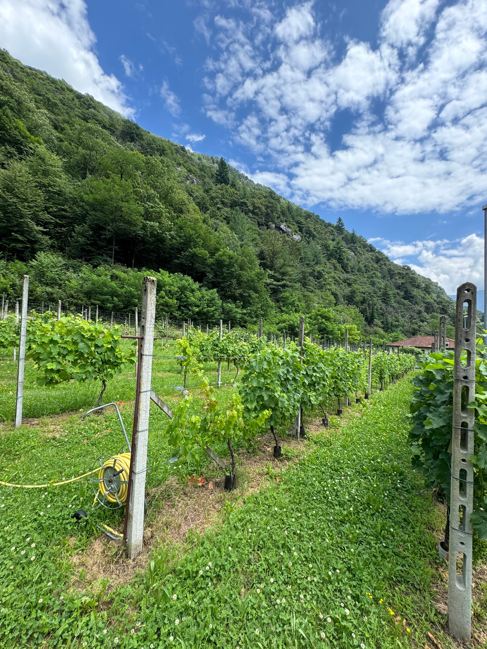 Image 1 Image 1