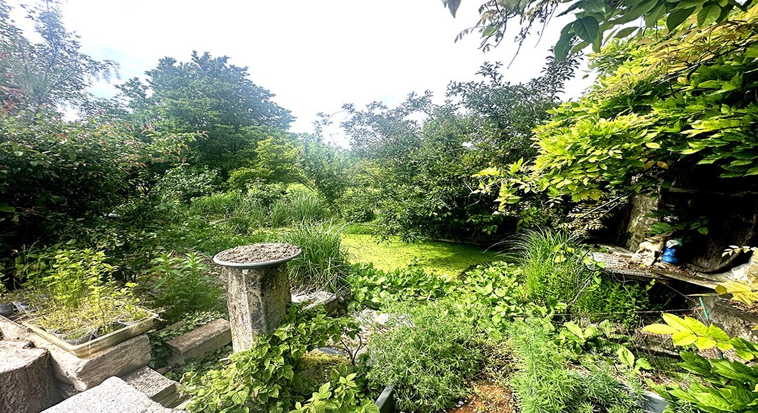 Foto 16