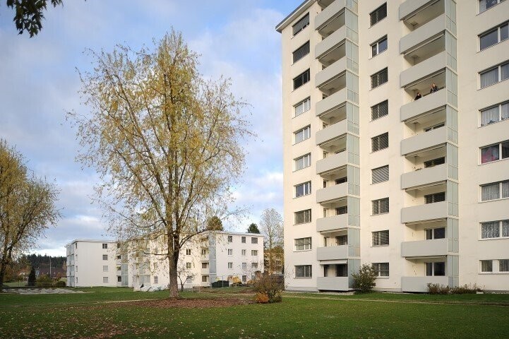 Picture 1
