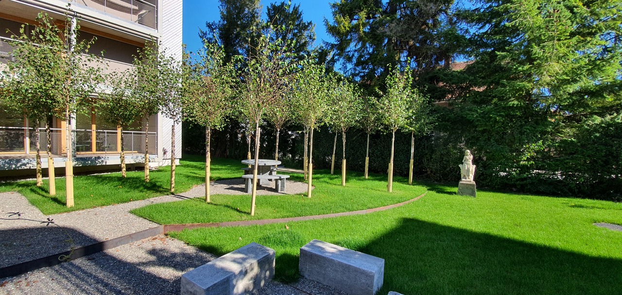 Foto 11