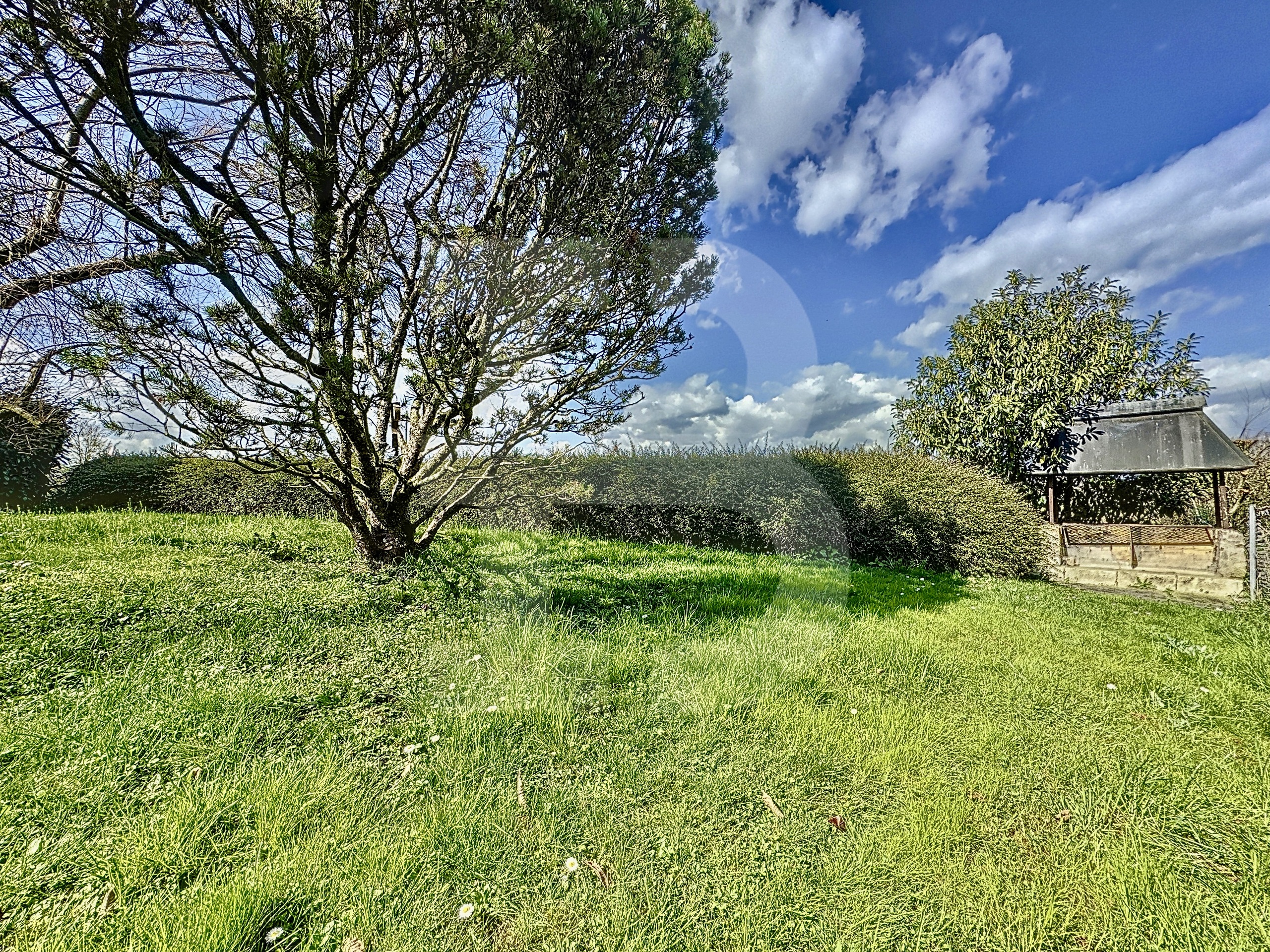 Jardin à la disposition de la copropriété 