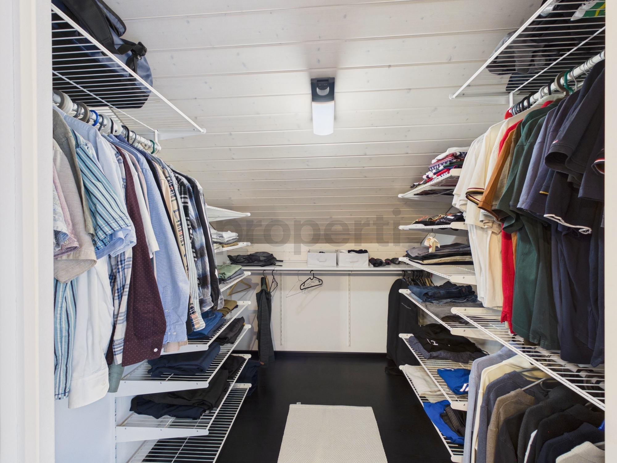 Picture 9