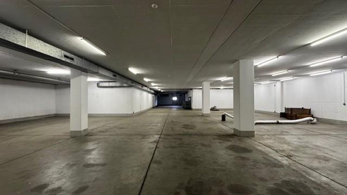 Photo 8