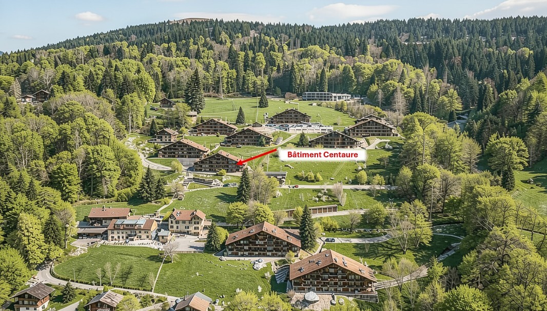 Vue aérienne du Domaine 