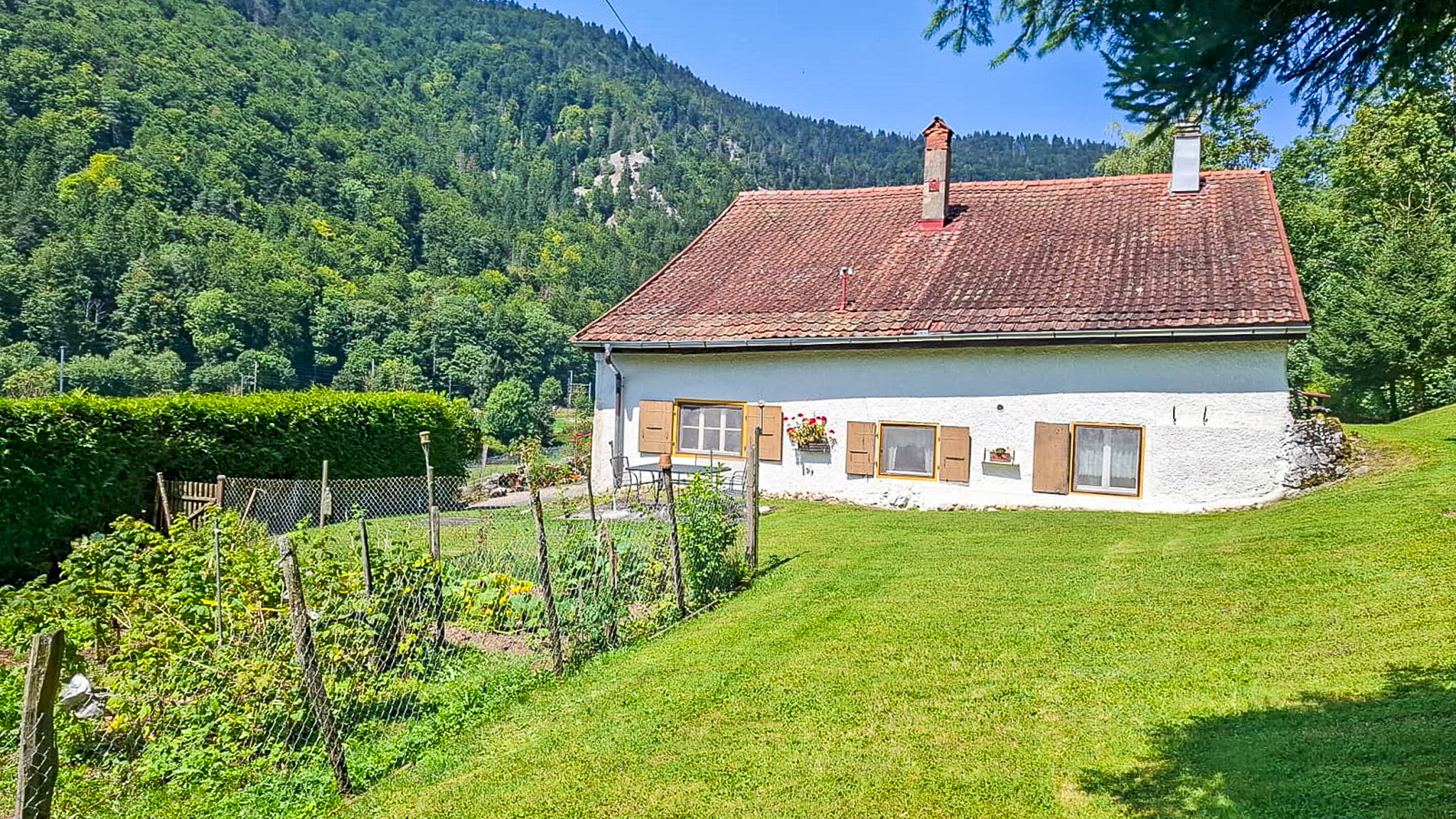 Espace potager Espace potager